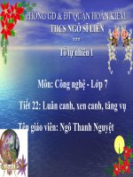 BÀI GIẢNG Luân canh, xen canh, tăng vụ