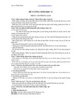 Đề cương sinh 11 ôn thi học kì 2