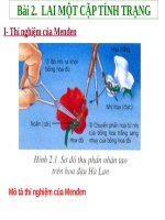 Bài giảng thao giảng sinh học 9 lai 1 cặp tính trạng (10) 