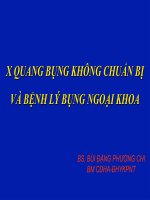 X QUANG BỤNG cấp