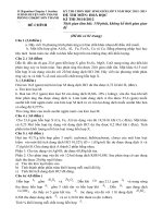 Đề và đáp án HSG Hoá 9 tỉnh Sơn Thanh 20122013