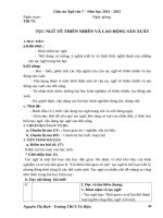 kế hoạch giảng dạy ngữ văn 6 (11) 