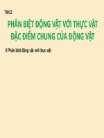 Bài Giảng Phân Biệt Động Vật Với Thực Vật Đặc Điểm Chung Của Động Vật