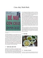 Cơm cháy ninh bình  viet nam