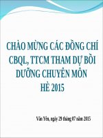 GIỜ CHÀO cờ 