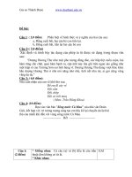 Đề thi hsg văn 6 cấp trường