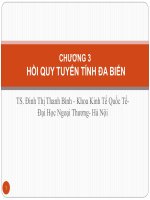 KINH TẾ LƯỢNG Chương 3   hồi quy đa biến