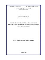 Nghiên cứu một số yếu tố của công nghệ xử lý biến dạng gỗ bạch đàn trắng (eucalyptus camandulensis dehn) bằng phương pháp xẻ 