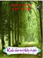 BÀI GIẢNG SINH SẢN HỮU TÍNH  Ở ĐỘNG VẬT