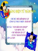 Bài giảng điện tử mầm non đề tài Dạy hát con mèo  con chuột (lớp Lá)