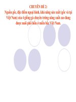 CHUYÊN ĐỀ 2 Nguồn gốc, đặc điểm ngoại hình, khả năng sản xuất (gốc và tại Việt Nam) của 4 giống gà chuyên trứng năng xuất cao đang được nuôi phổ biến ở miền bắc Việt Nam.