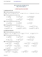 on tap toan 11 hkii on tap toan 11 hkii 