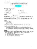bo 10 de on thi hk2 toan 11 