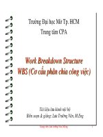 WP va WBS   luu truong van 