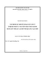 Xác định sự khuếch đại gen MYCN ở bệnh nhân u nguyên bào thần kinh bằng kỹ thuật lai huỳnh quang tại chỗ 