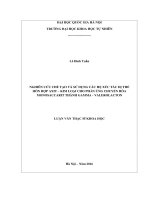 Nghiên cứu chế tạo và sử dụng các hệ xúc tác dị thể hỗn hợp axit   kim loại cho phản ứng chuyển hóa monosaccarit thành gamma   valerolacton 