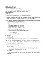 khung giáo án định hướng phát triển năng lực môn tiếng việt