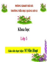 BÀI GIẢNG PHÒNG BỆNH VIÊM GAN A