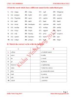 Unit 1 My hobbies Further practice