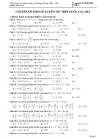 bài tập trắc nghiệm chuyên đề hàm số  (CỰC CHẤT)
