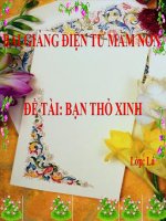 Bài giảng điện tử mầm non đề tài Bạn thỏ xinh (lớp Lá)