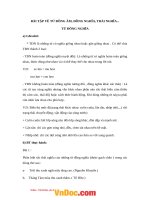 bai tap dong am dong nghia trai nghia 