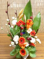 Giáo án điện tử lớp 3  TD nho lai buoi dau di hoc 