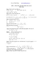 de cuong on tap he toan 8 