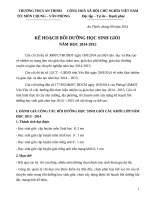 Kế hoạch bồi dưỡng học sinh giỏi môn chung   văn phòng 