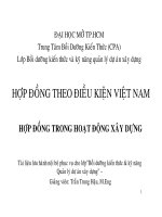 Hop dong XD VN nov06 