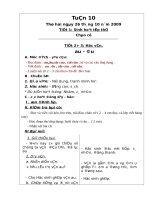 Lop 1 tuan 10 ( CKT) 