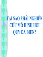 TẠI SAO PHẢI NGHIÊN CỨU MÔ HÌNH HỒI QUY ĐA BIẾN?