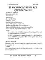 Ke hoach mon sinh 9  2010 