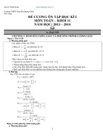 de cuong on thi hk1 khoi 11 