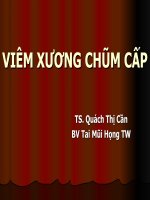 BÀI GIẢNG VIÊM XƯƠNG CHŨM CẤP