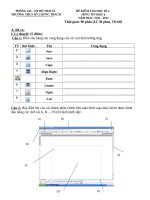 đề kiểm tra học kì 2 môn tin học lớp 6 