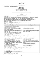 Giáo án lớp 1 Tuần 1 2017