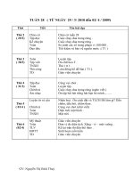 Phân phối chương trình lớp 3 tuần 28 