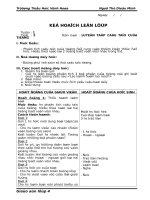 giao an luyen tu cau in roi 