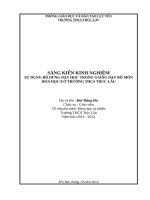 Sáng kiến kinh nghiệm  hóa học THCS