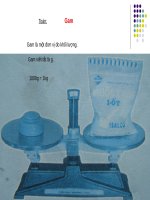 Giáo án điện tử lớp 3  Gam 