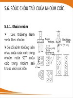 Chapter5 3   suc chiu tai cua nhom coc 
