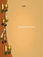 Giáo án điện tử lớp 3  CT tran bong duoi long duong 