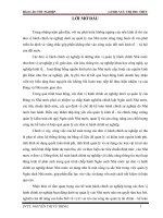 Tổ chức công tác kế toán hành chính sự nghiệp tại trung tâm KTTH HN huyện cam lộ 