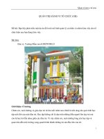 Phát triển môi trường làm việc tại trường mầm non KIDZWORLD