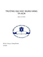 Công ty chứng khoán và vai trò của công ty chứng khoán đối với thị trường chứng khoán việt nam 