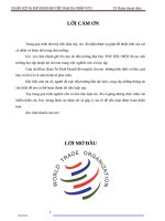 thuận lợi và khó khăn khi việt nam gia nhập wto 