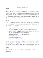 Đánh giá môi trường làm việc hiệu quả tại công ty TNHH minh trang 