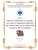 Khảo sát ảnh hưởng của enzyme xylanase từ aspergillus niger lên đặc tính của bột và các thuộc tính về chất lượng của bánh mì 