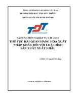 thủ tục hải quan hàng hóa xuất nhập khẩu ðối với loại hình sản xuất xuất khẩu 